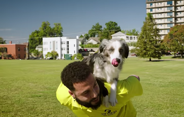 Trained dog riding on Brock's back in the park